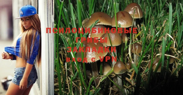 трава Абинск