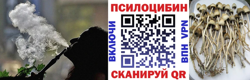 Галлюциногенные грибы Cubensis  Щёлкино 